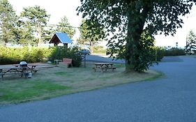 Driftwood By The Sea Inn